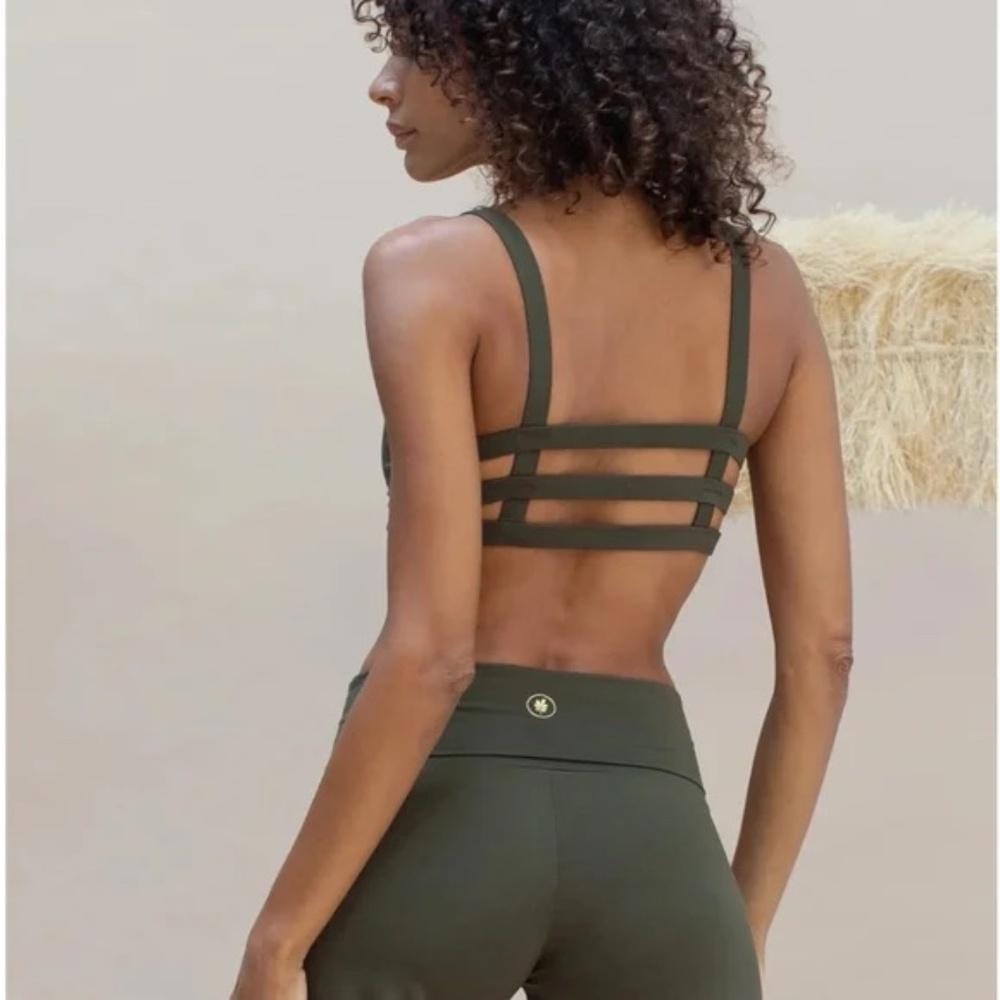 Indigo Luna Boxy Crop Top Large in Forest